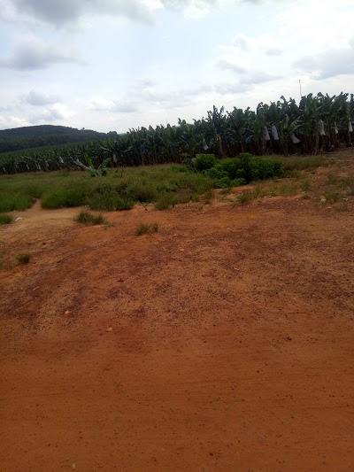 natural-feature