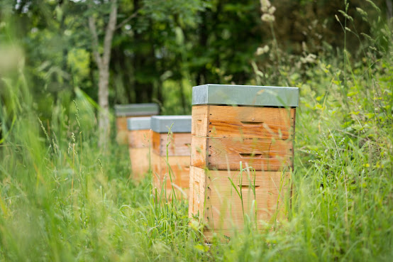 La Grée Des Landes, Eco-Hôtel Spa Yves Rocher by null