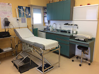 Dr Patrick LEPAGE à Durtal