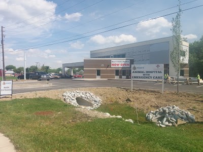 Photos of Noah's Westside Animal Hospital
