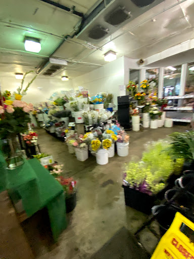 Sunfresh Flower Mart - Thumbnail