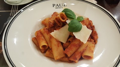 Photos of Paul