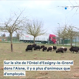 Photo n°2 de GreenSheep à Paris (Paysagiste)