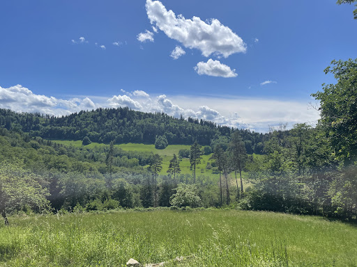 Waldrestaurant Zähringer Burg - Freiburg im Breisgau - Thumbnail
