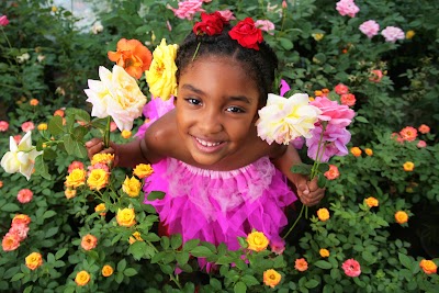 Photos of Shields and Shields Flowers Islandwide Delivery