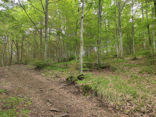 Monte Romezzano - Visual