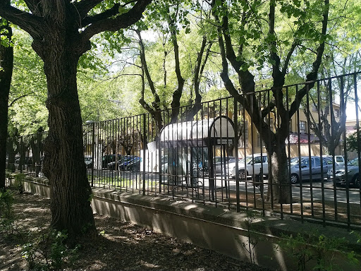 Primary School De Amicis - Visual