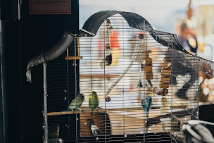 Photo n°29 de LE CHARY LGM à La Grande-Motte (Bar sportif)