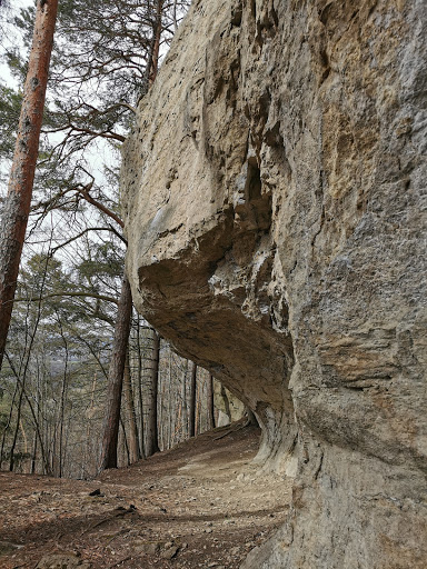 Gleitsch - Visual