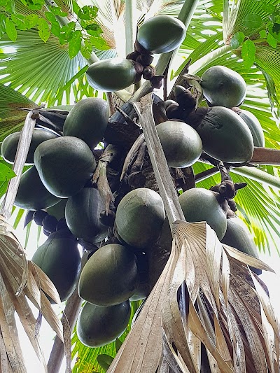 photo of Edelweiss Tours, Seychellen