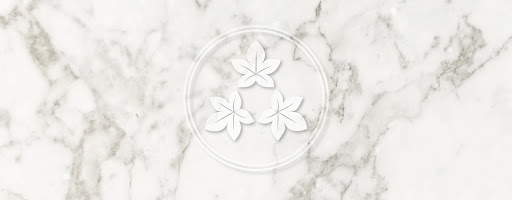 Maple Salon - Visual