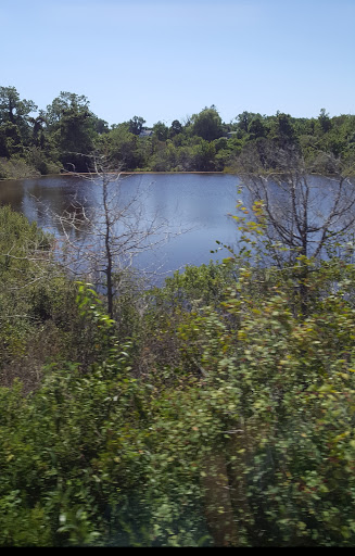 Great Marshes - Thumbnail