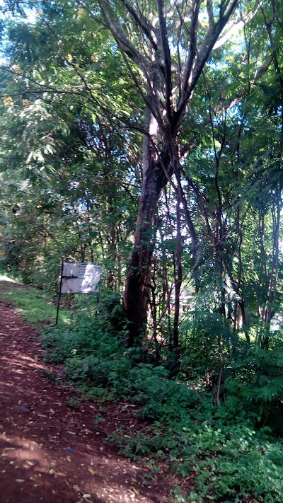 Photos of ACK ST. JAMES BROTHER OF JESUS, NJUKIRI