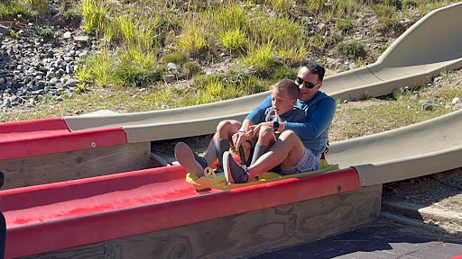 Alpine Coaster - Visual