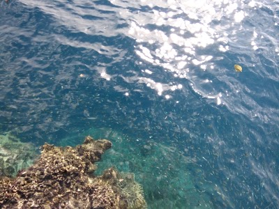 Photos of Rumah Katu Marine Park
