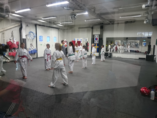 Team One Taekwondo - Thumbnail