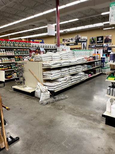 Shoppers Supply - Thumbnail