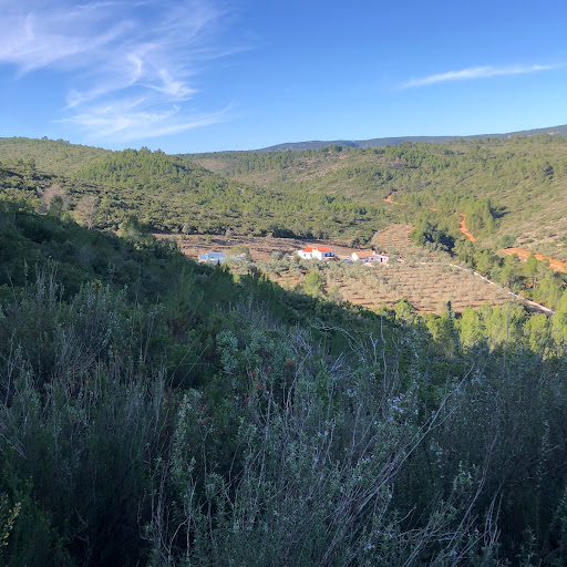 Kausay - Visual