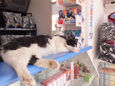Photos of Veterinary Clinic Los Olivos