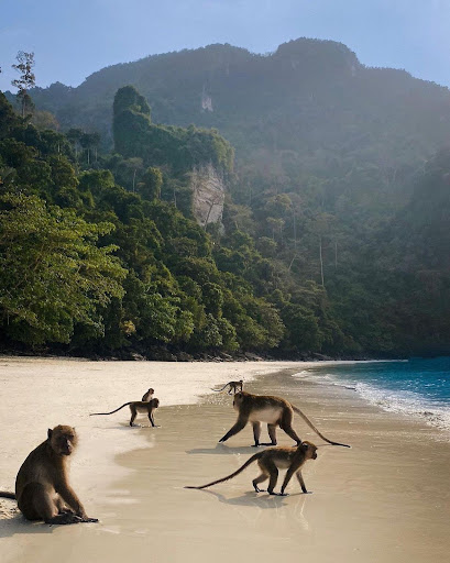 Privatreise Thailand - Thumbnail