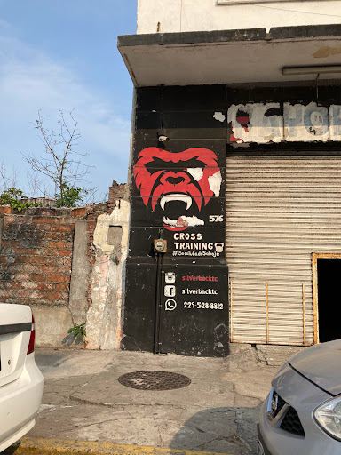 Silverback TC Gym - Thumbnail