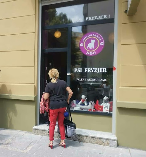 mini&MAXI Dog Edyta Lewandowska Salon strzyżenia i pielęgnacji psów Warszawa Śródmieście Centrum