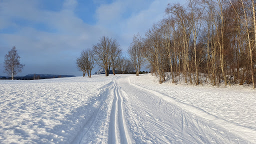 Sundsvall Golf Club Gallery - Sweden