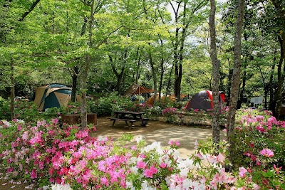 県立 清和県民の森 キャンプ場