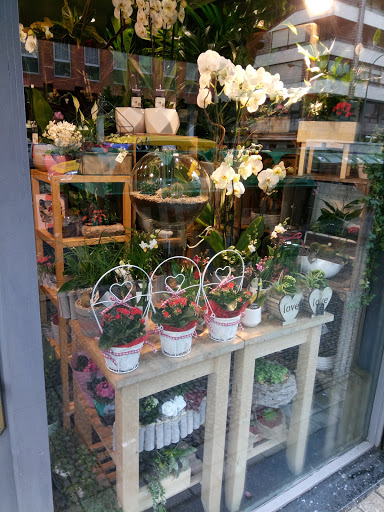 Floristerias Inés Quintana - Thumbnail