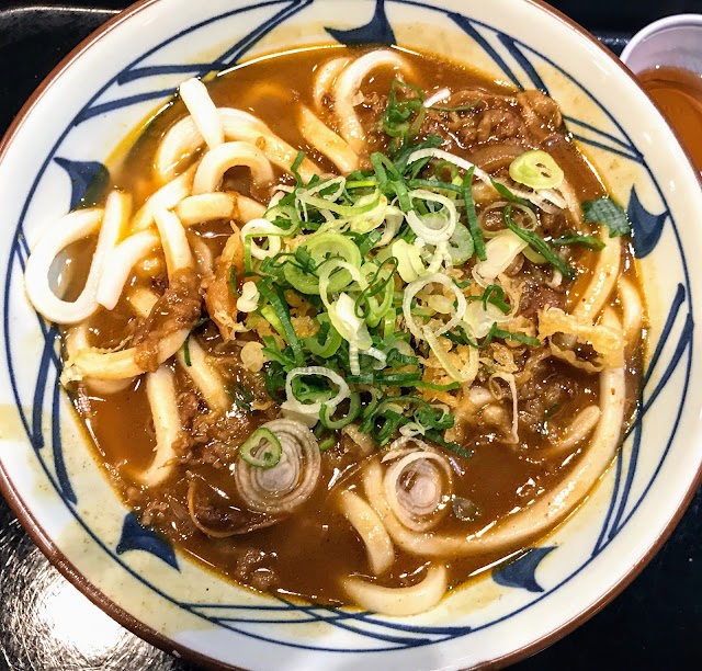 Marukame Udon