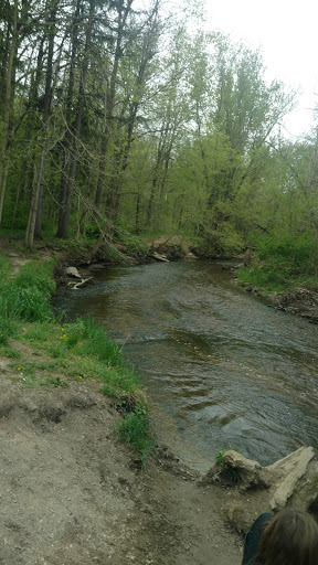 Battle Creek River - Thumbnail