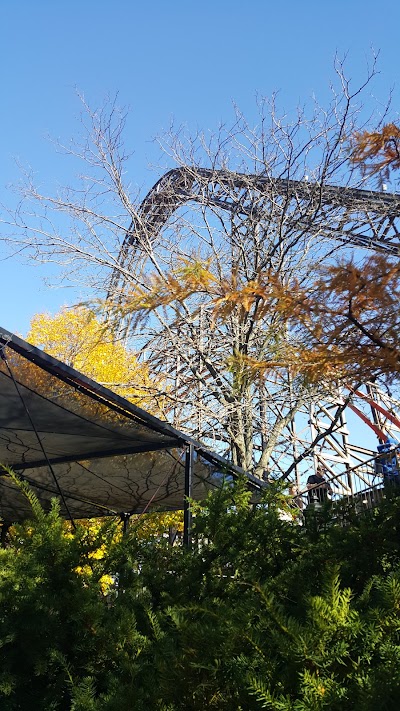 Photos of Goliath