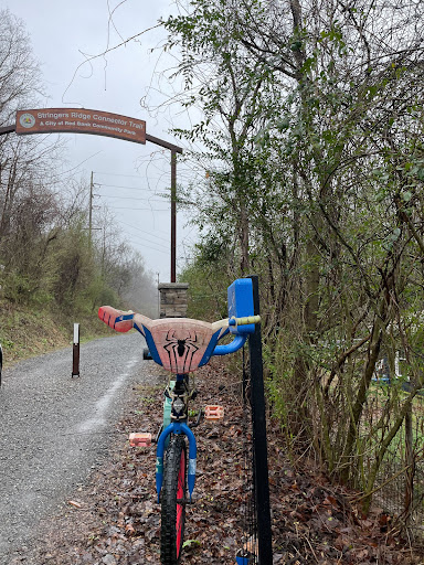White Oak Bicycle - Thumbnail