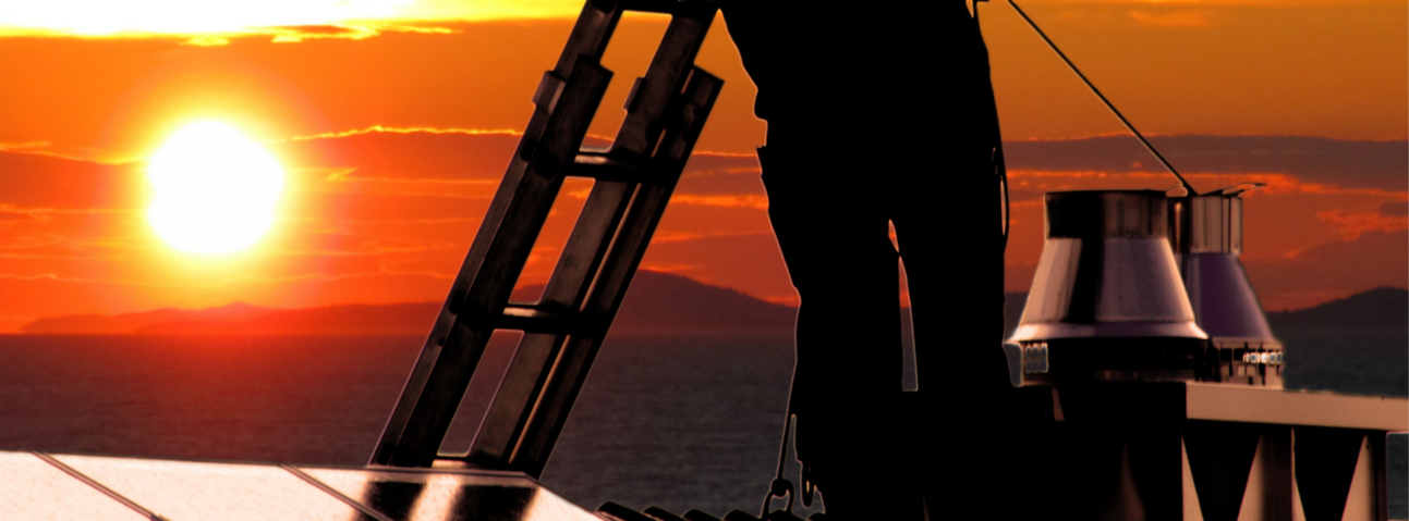 Warner Brothers Chimney Sweep - Professional chimney cleaning and repair services in Palo Alto, California