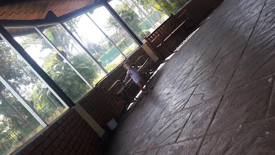 bar