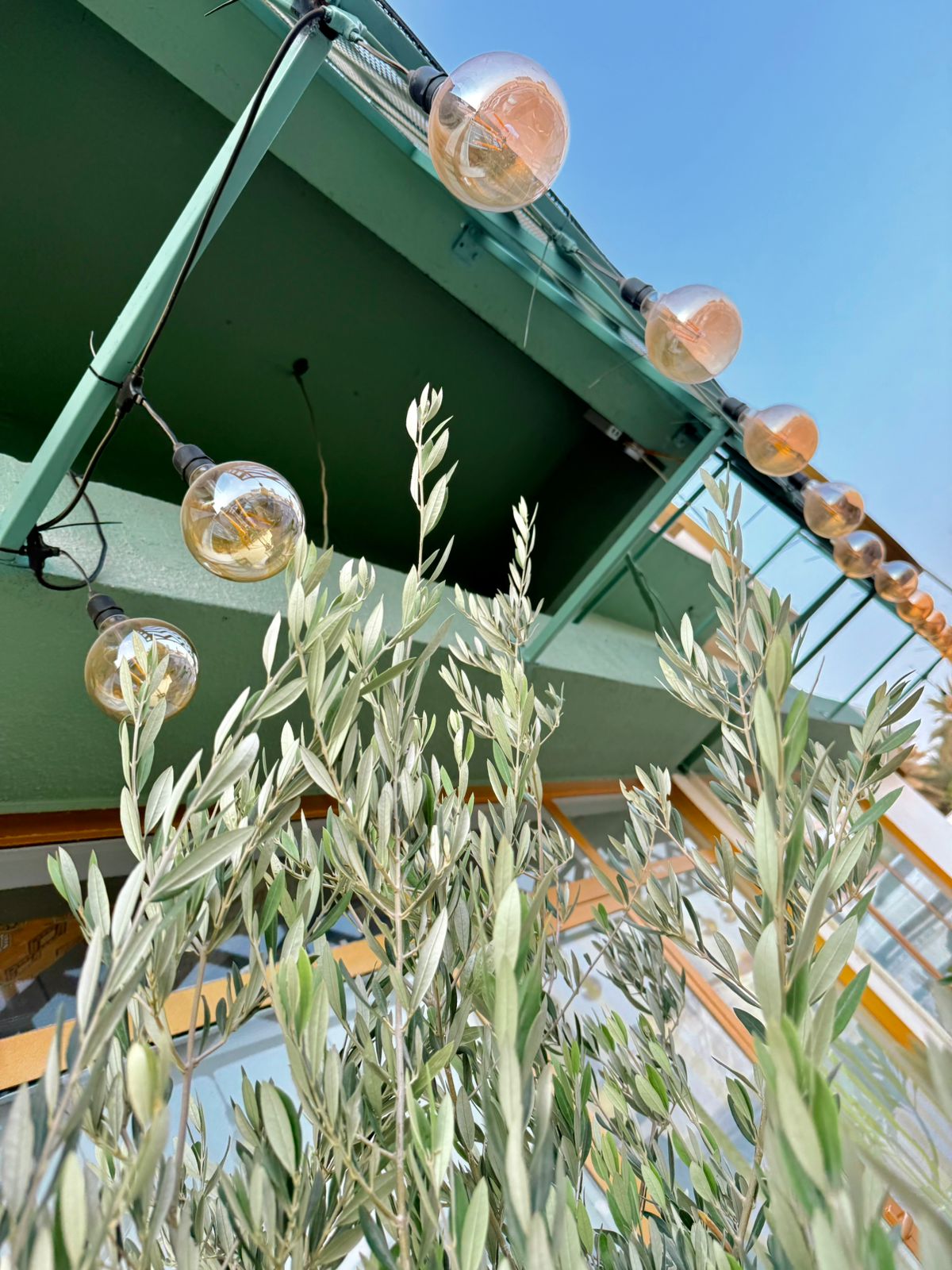 تمرتي _ TAMRATI New - صورة 3