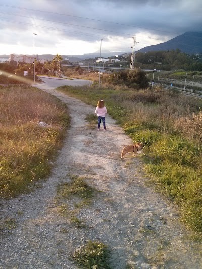 Photos of CANGUDOG Guarder&iacute;a para perros.Adiestrador psic&oacute;logo canino