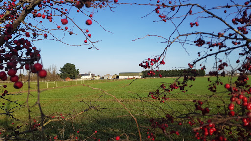 Longstanton Park & Ride - Thumbnail
