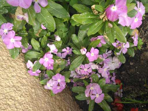 Planxisteria i Pintura La Torre S L Gallery - Spain