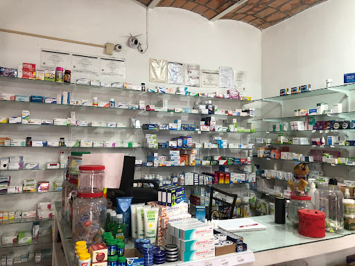 Farmacia GN - Thumbnail