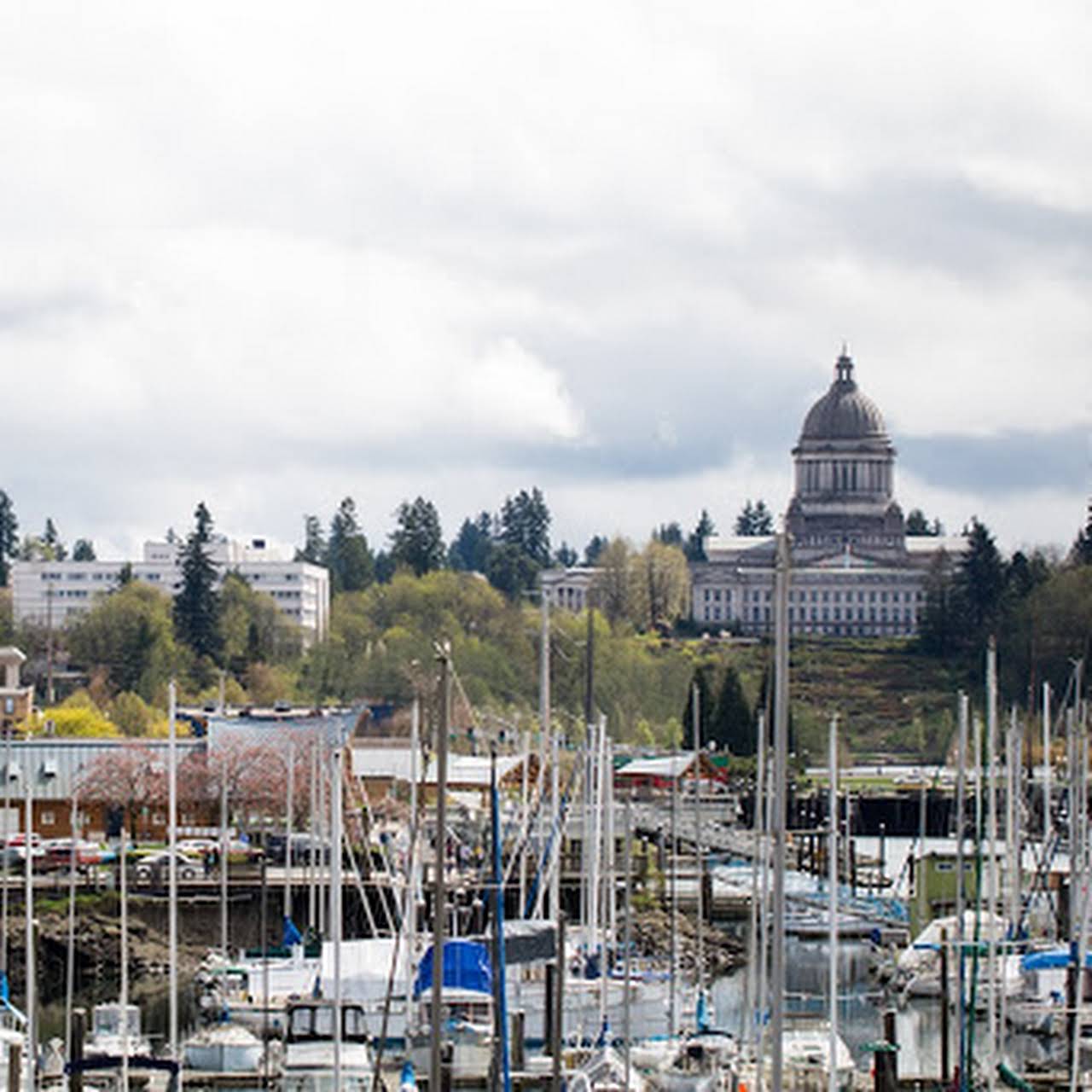 Kelly Larson Olympia Real Estate Agent Lake Homes Realty