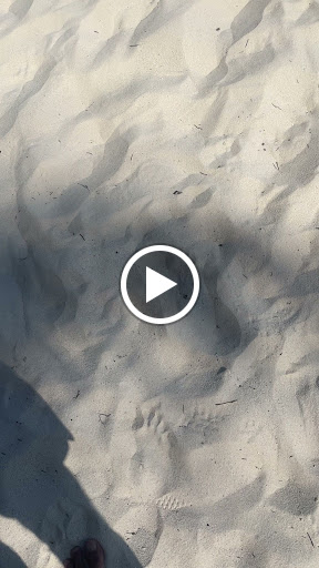 site_photo4