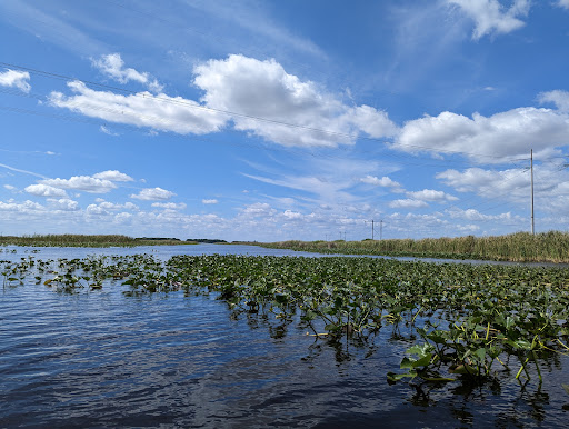 Private Airboat Tours - Thumbnail