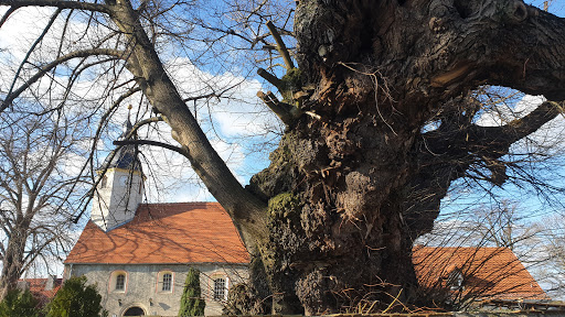 Ev. Pfarrkirche Kobershain - Thumbnail