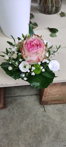 Blumen Outlet - Visual