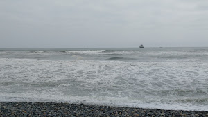 Comercial Regalado 3