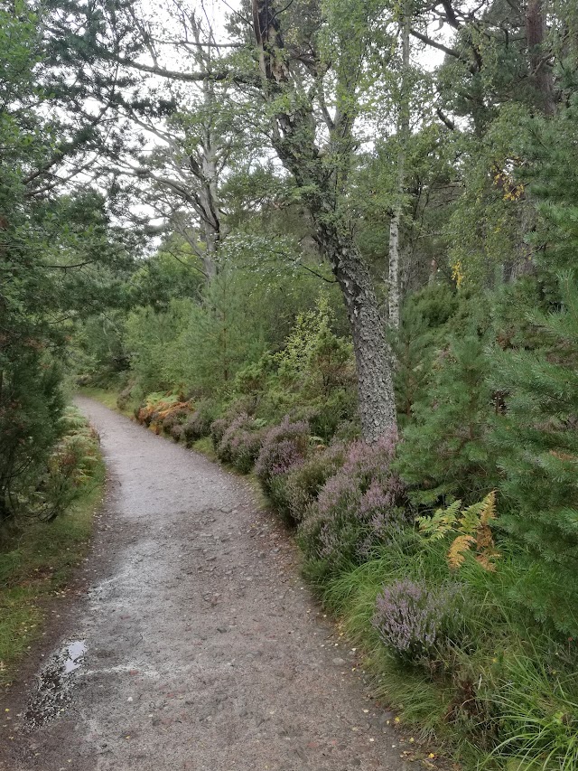 Loch an Eilein