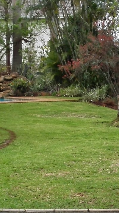 Photos of Spic & Span Garden Service