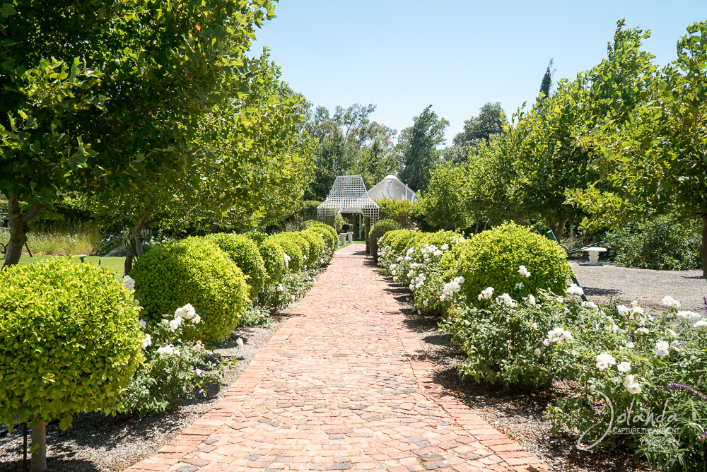 Domaine Brahms