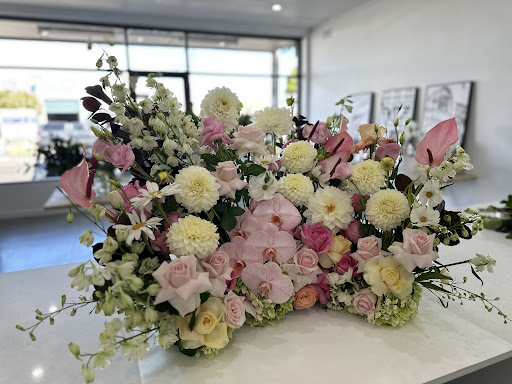 CASA DI BLOOMS - Thumbnail